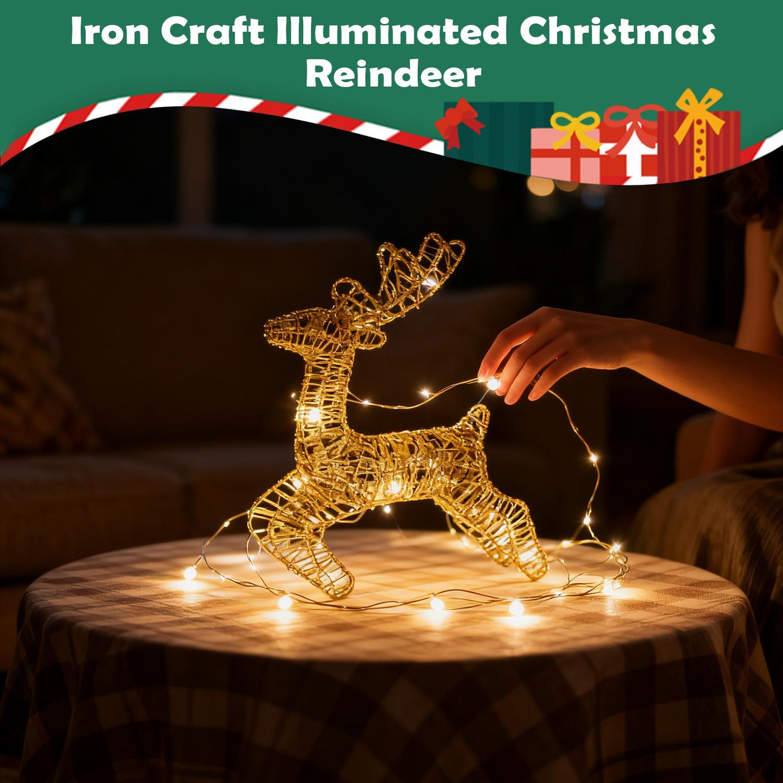 Verlichte kerstherten glitter  - Outdoor Lighting Front Yard recensie en prijs