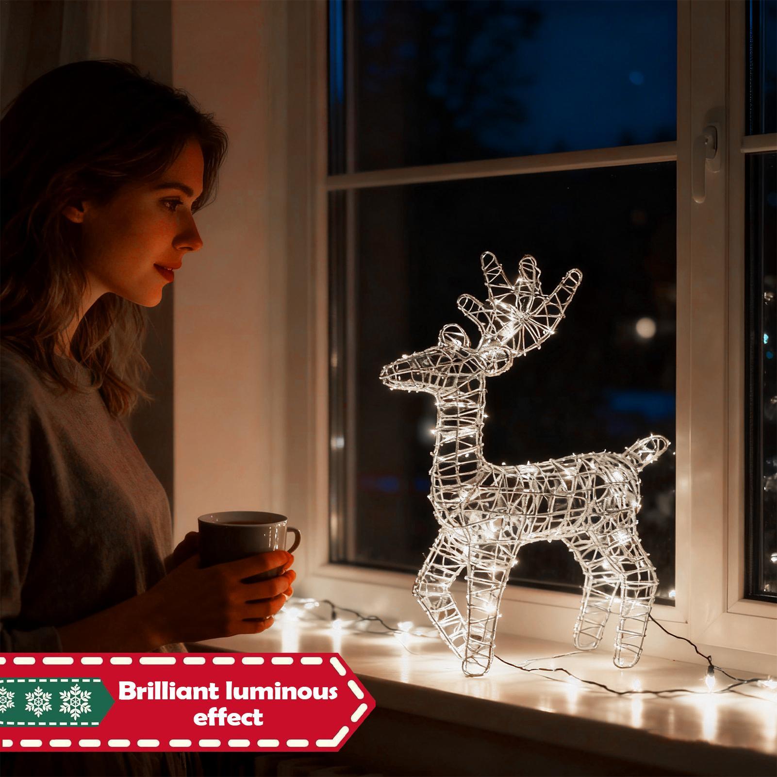 Verlichte kerstherten glitter  - Outdoor Lighting Front Yard recensie en prijs