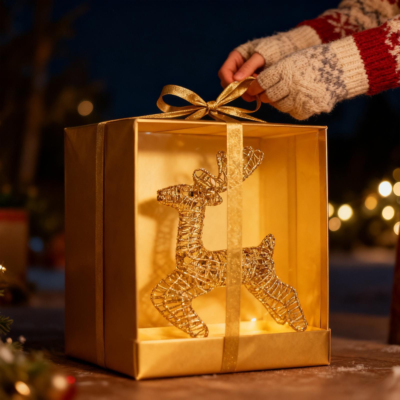 Kerstverlichte rendieren glitt - Outdoor Lighting Front Yard recensie en prijs