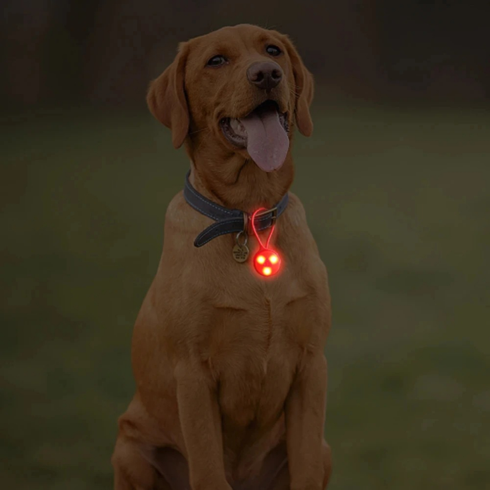 Outdoor-rugzakverlichting Sili - Outdoor Lighting Led Strip recensie en prijs