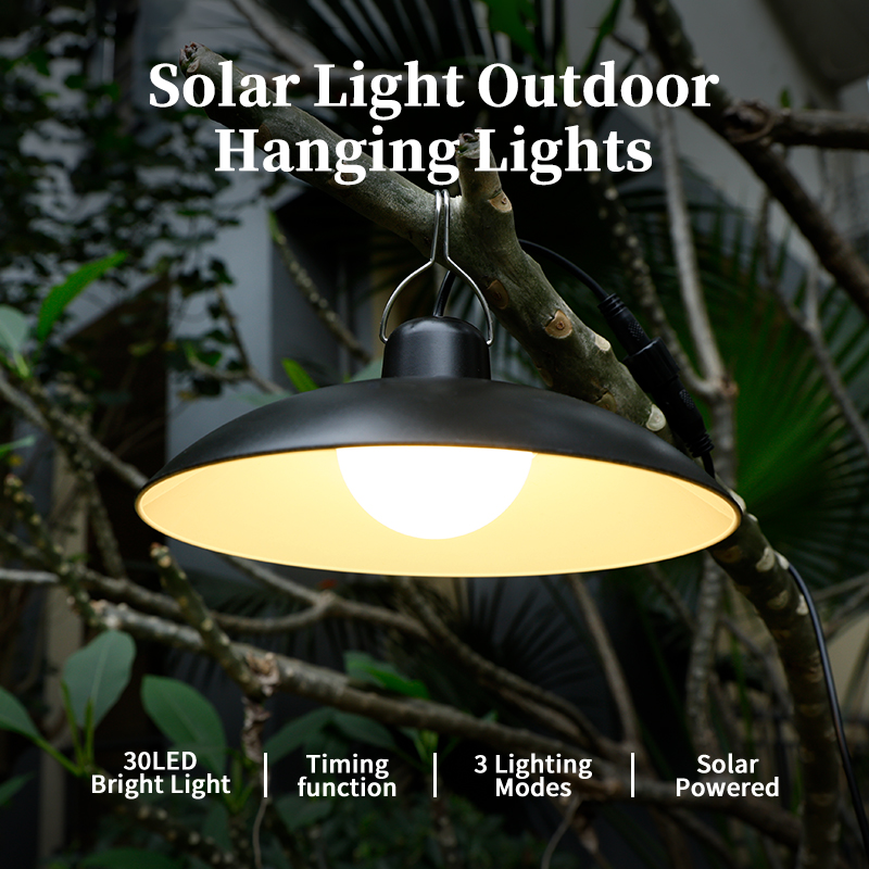 Enkelvoudige/dubbele kop zonne - Outdoor Lighting Chandelier recensie en prijs